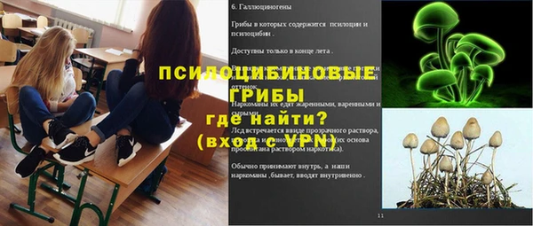мескалин Медвежьегорск