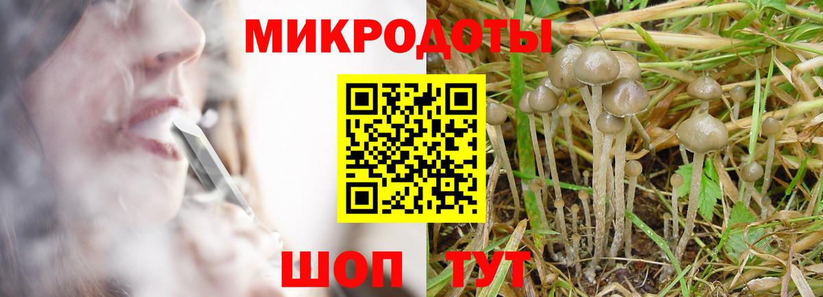 Псилоцибиновые грибы Psilocybine cubensis  Вход с VPN  Усть-Илимск 
